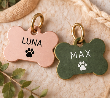 Ejemplo ilustrativo de placas con los nombres LUNA y MAX.